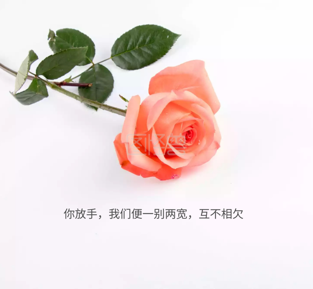 爱情》进行在线ps图片编辑,             本图片属于新媒体,手机/微信