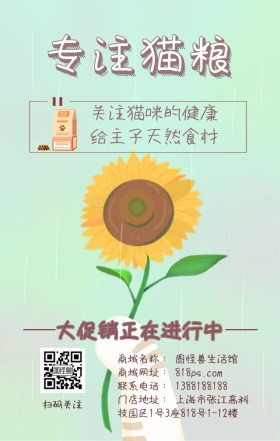 专注猫粮猫咪紫色促销海报