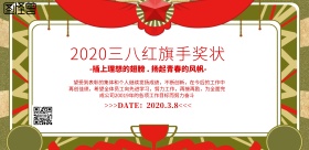 2019三八红旗手奖状海报