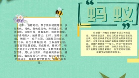 手抄报蚂蚁创意卡通可爱