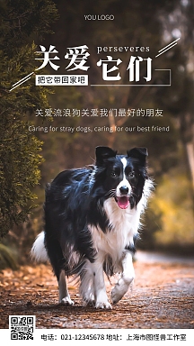 vip专享关爱它们流浪动物白色简约风摄影图海报创意风关爱流浪动物字