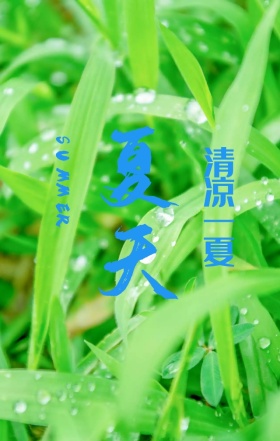 夏季蓝色清新简约宣传海报