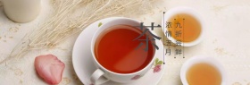 春季新茶特惠banner图片