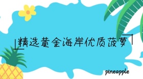 菠萝简约创意宣传公众号模版