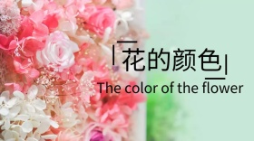 花的颜色宣传创意简约公众号封面