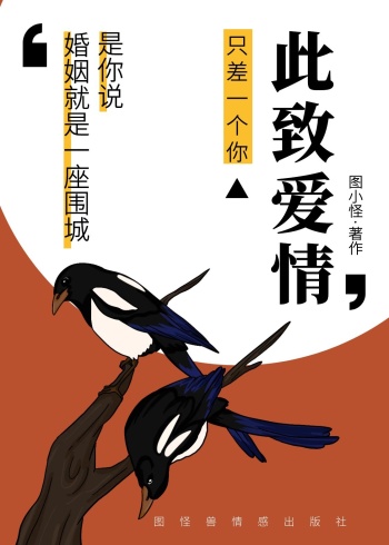 此致爱情简约言情白色书籍封面