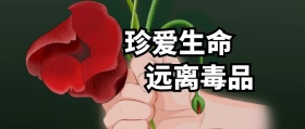 通用公众号封面