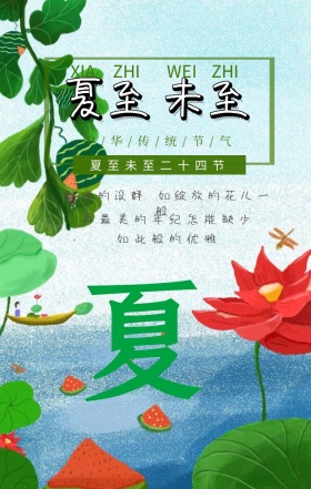 夏至未至二十四节气男孩小猫手绘手机海报