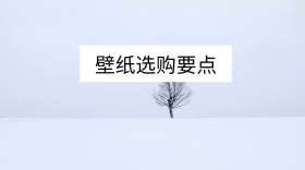 壁纸选购要点公众号封面