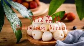 宣传创意简约公众号封面模版