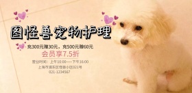 宠物护理萌宠托管卡通动物宣传海报