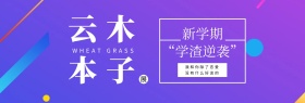 云木笔记本子网店banner