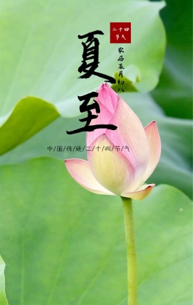 夏至中国风水墨荷花仙鹤金鱼海报