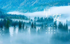 早安朦胧森林雾里图片红包配图唯美