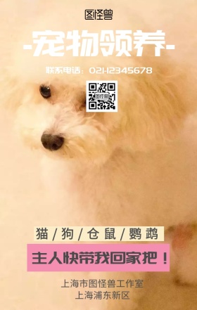东北宠物领养海报