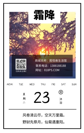 霜降季节节气雪树白色文艺简约日签