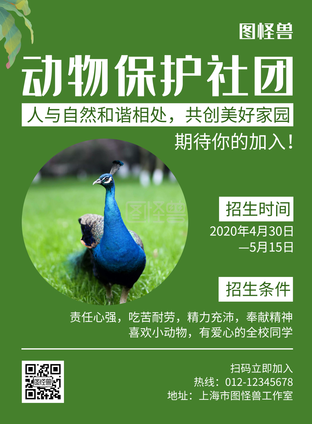 动物保护社团绿色简约招新海报