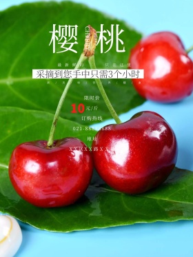 樱桃水果海报