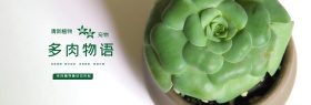 绿色小清新花店多肉植物电商banner淘宝海报
