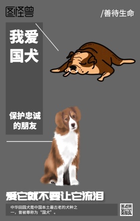 爱护保护中华田园犬海报