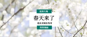 春天来了 阵阵细雨 滋润大地 花在开树在发芽 春季春天你好公众号封面