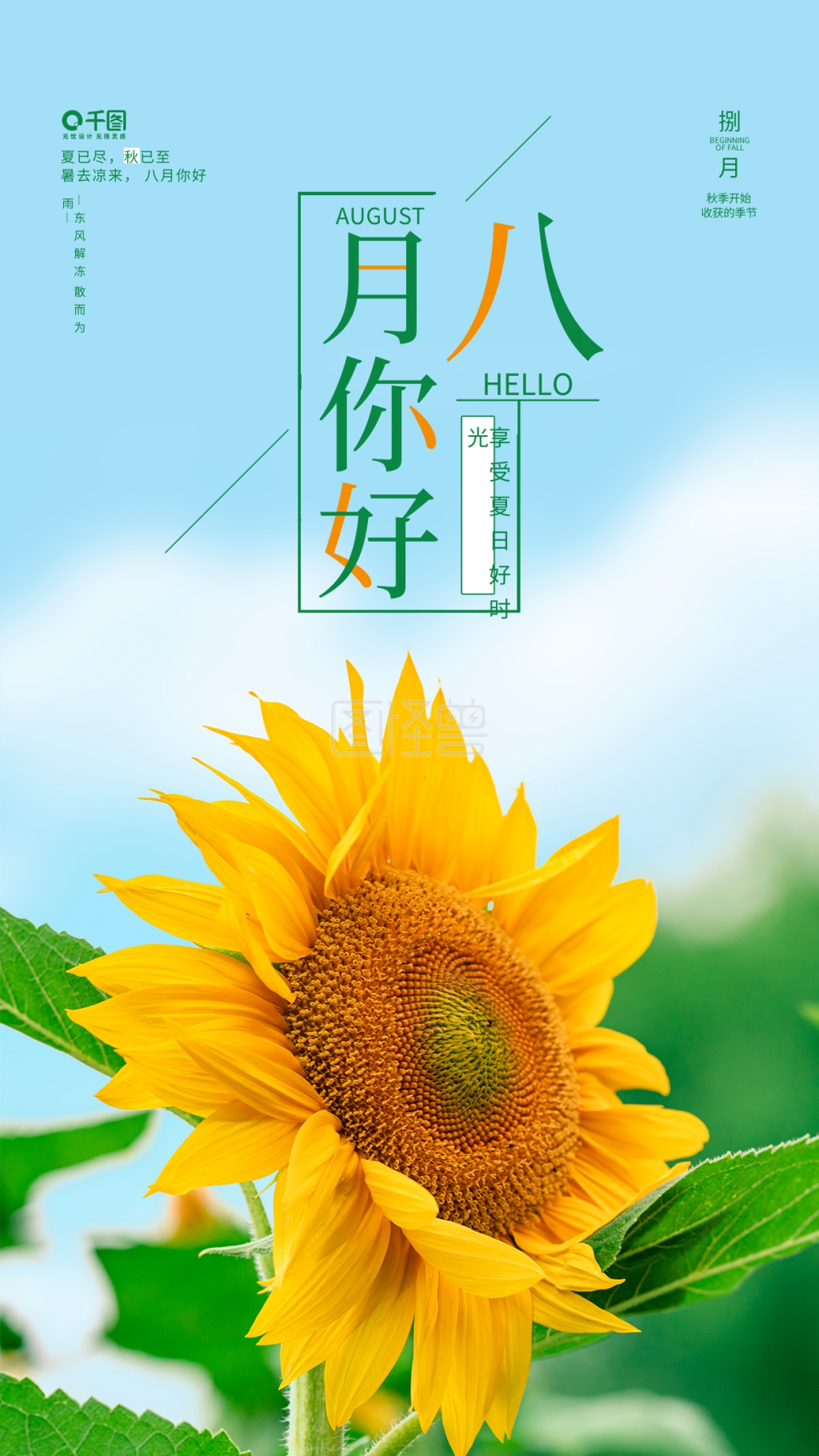 八月你好早安日签八月海报向日葵秋天海报