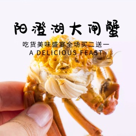 天空阳澄湖大闸蟹吃货盛宴淘宝主图直通车