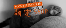 黑色摄影简约宠物商店宣传公众号封面