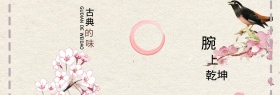 电商淘高贵典雅手镯banner