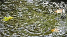 洪灾卡通及时撤离公众号封面模版