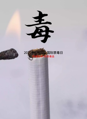 国际禁毒日远离毒品公益海报