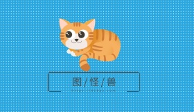 可爱宠物宠物店名片