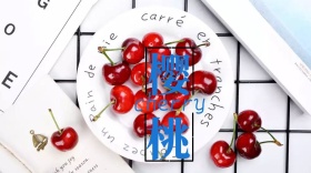 樱桃简约创意宣传公众号模版