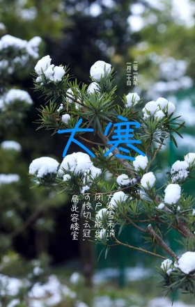 大寒手机海报