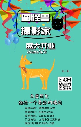 宠物摄影日签