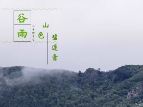 谷雨二十四节气手绘清新公众号配图