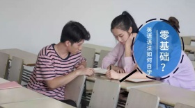 卡通鹦鹉几何图案英语学习公众号封面