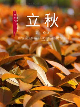 立秋文艺中国风创意简约商业海报设计模板