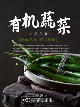 黑色背景有机蔬菜农产品宣传海报
