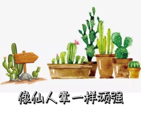 顽强 朋友圈封面