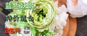 蓝色玫瑰海报