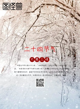 大寒节气宣传海报