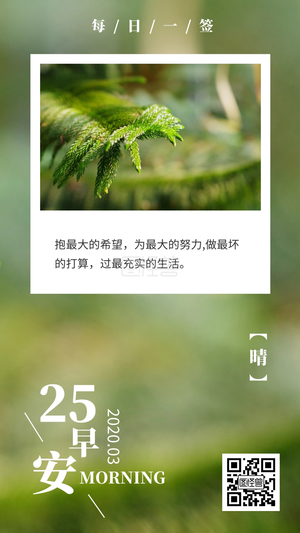 简约清新景色松树类早安日签