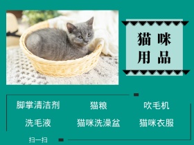 猫咪用品绿色公众号配图