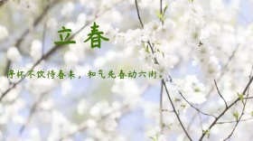 立春文艺诗句公众号封面模版