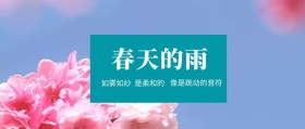 春天的雨 是柔和的 如雾如纱 像是跳动的音符 春季春天你好公众号封面