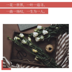 一花一世界文艺小清新公众号正方形配图