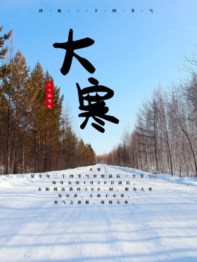 二十四节气大寒海报PSD模板