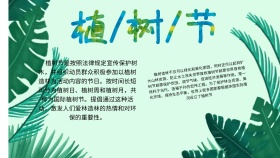 创意卡通大气扁平我们的节日植树节黑板报