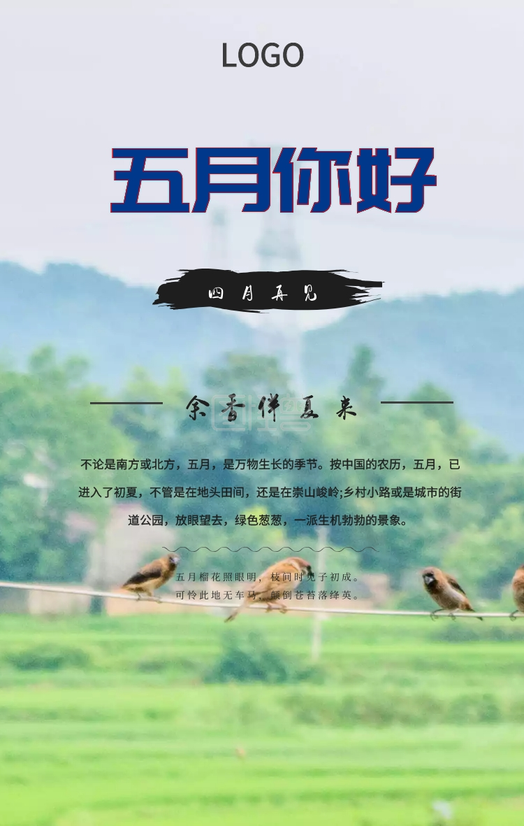 五月你好四月再见荷花绿色夏天荷叶手机海报